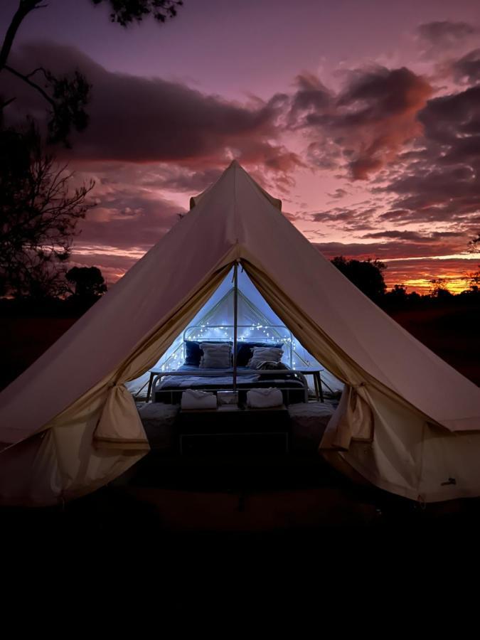 Mungo Lodge Екстериор снимка