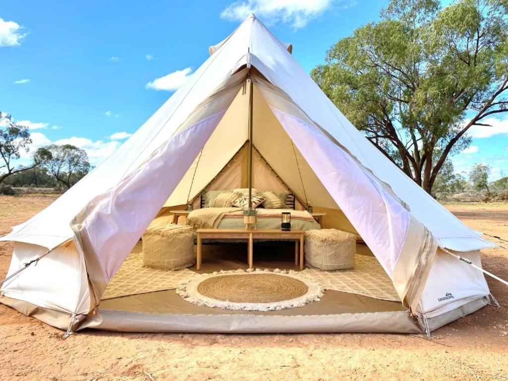 Mungo Lodge Екстериор снимка