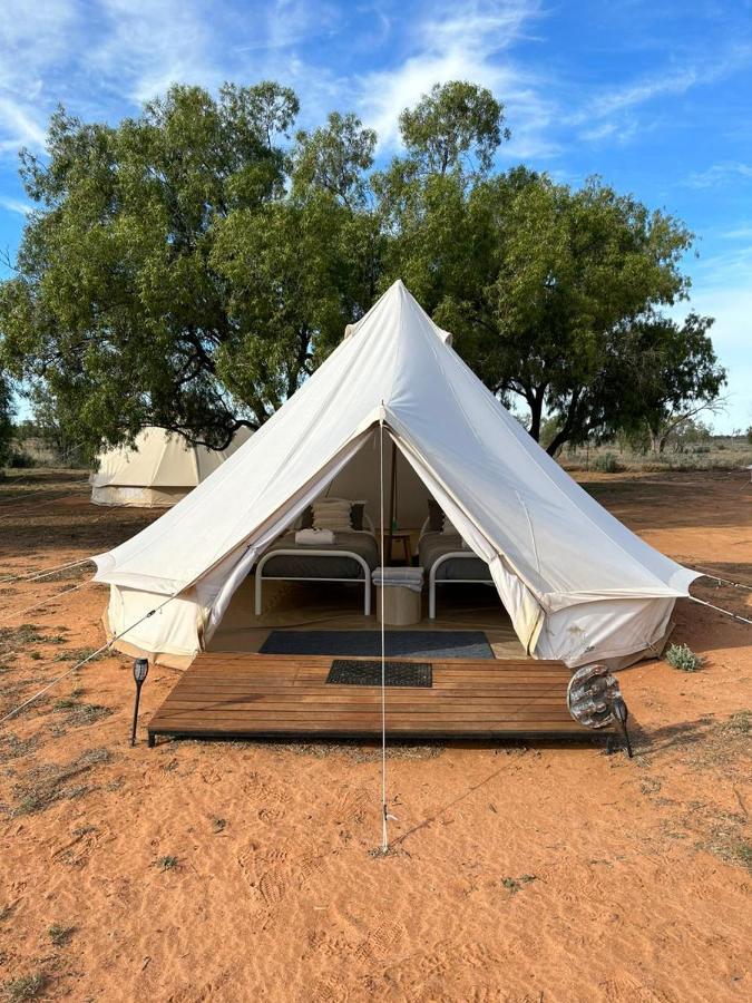 Mungo Lodge Екстериор снимка