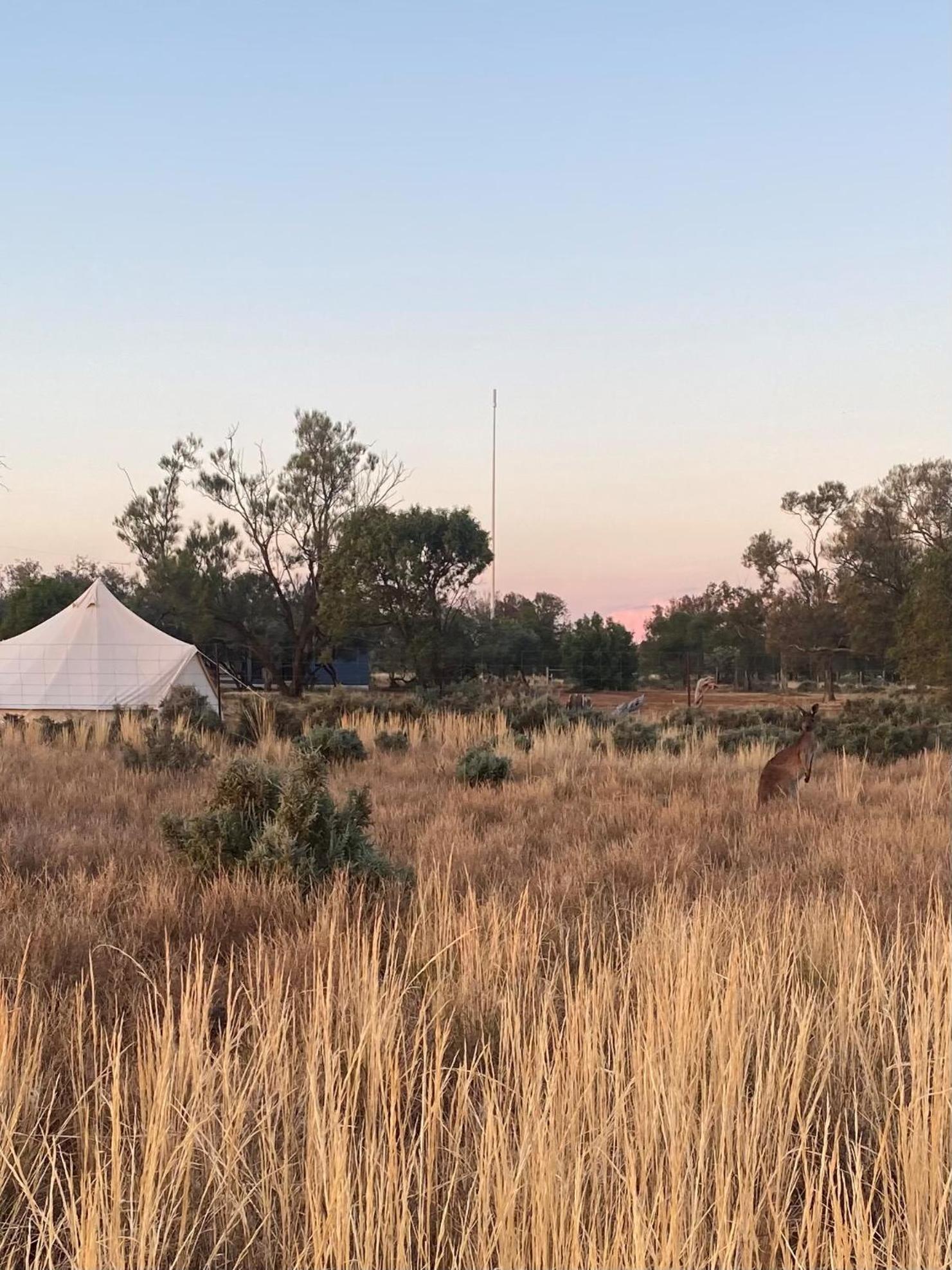 Mungo Lodge Екстериор снимка