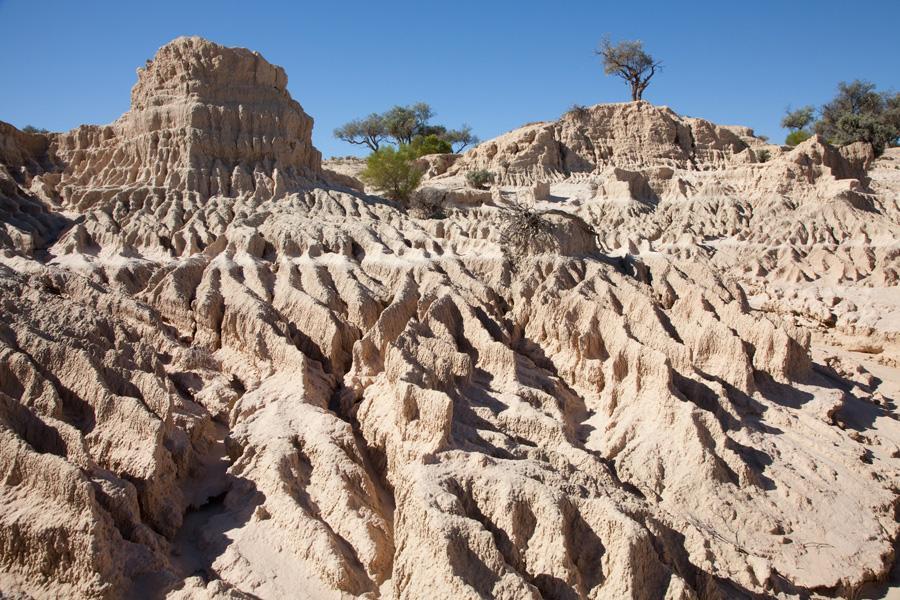 Mungo Lodge Екстериор снимка